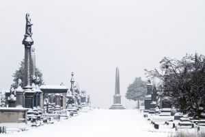 undercliffe jan 7 2011 image 3 sm.jpg